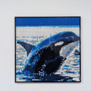 Orca